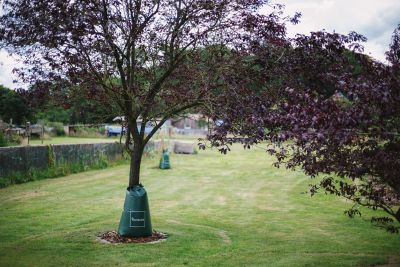 Baumbad Baumbewässerungssack Wassersack für Bäume 75,0 Liter
