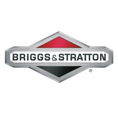 Briggs & Stratton 4-Takt Öl SAE30 25 Liter 100046E Motoröl